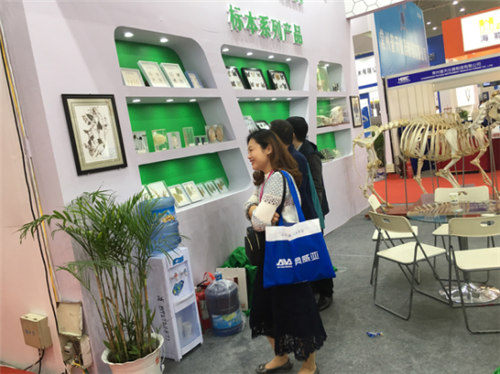 祝賀雨林參展4月教育“兩會(huì)”圓滿(mǎn)成功